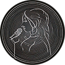 icone-interacao-publico